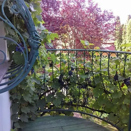 Fesztival Nyaralohaz Lejlighed Zamárdi