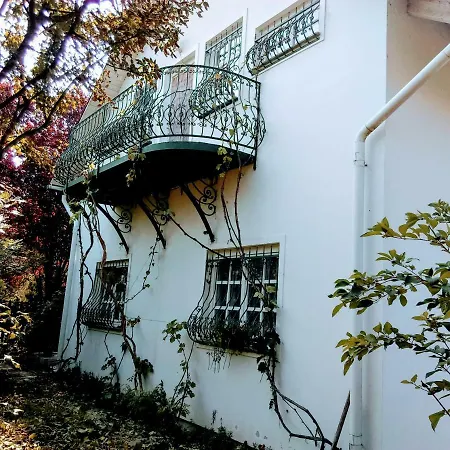 Fesztival Nyaralohaz *