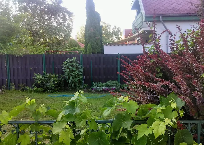 Apartamento Fesztivál