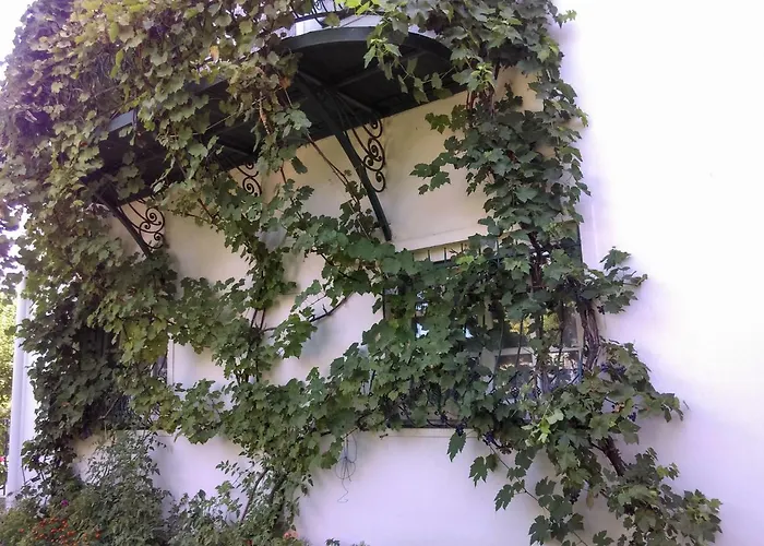 Apartamento Fesztivál *