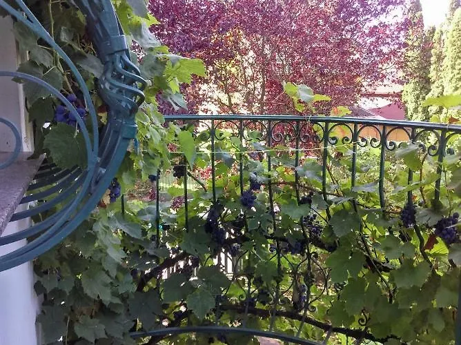 Fesztivál Apartamento Zamárdi