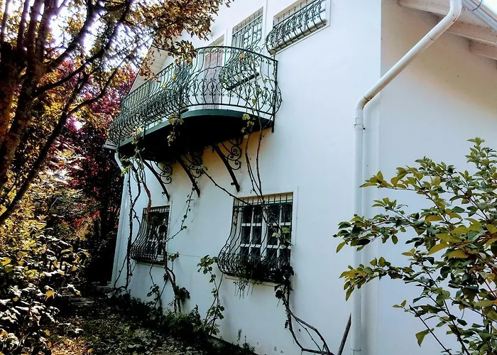 Fesztival Nyaralohaz *